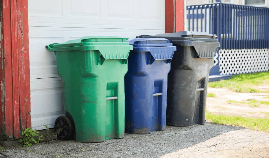 Residential Bin Cleaning